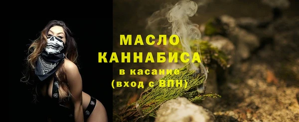хмурый Няндома