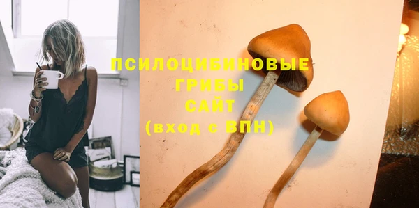 мдпв Новозыбков