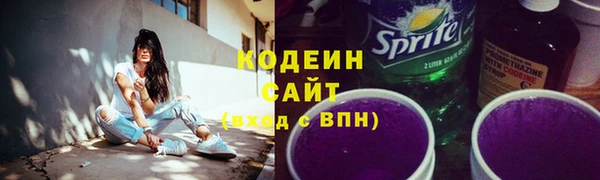 шишки Гусь-Хрустальный