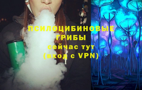 mdma Новодвинск