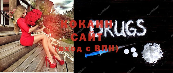 хмурый Няндома