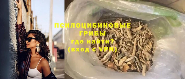 мдпв Новозыбков