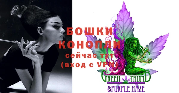 тгк Бикин