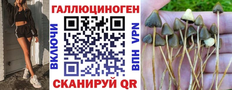 Псилоцибиновые грибы прущие грибы Клинцы