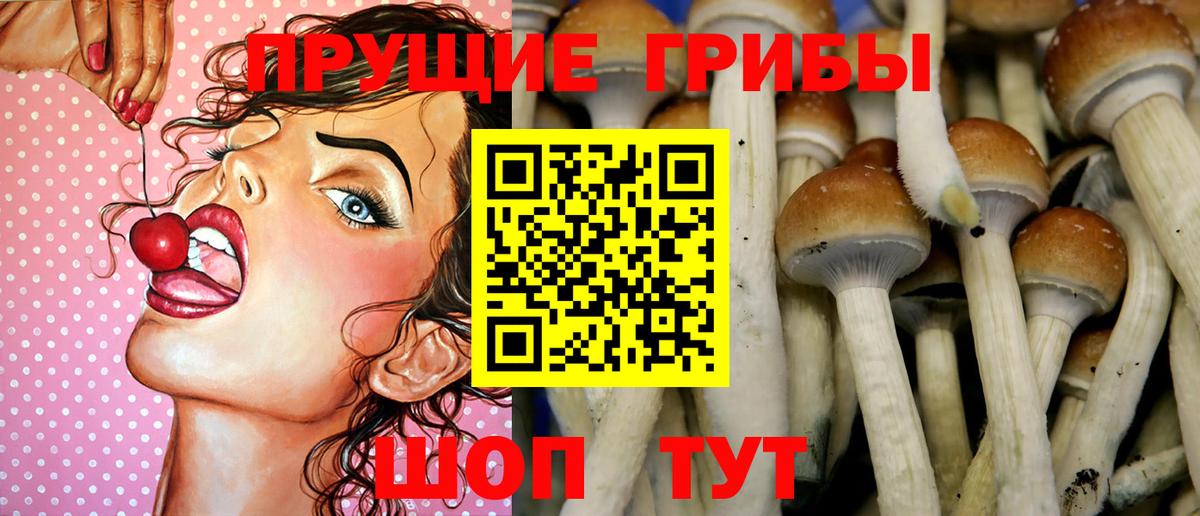 Клинцы  Псилоцибиновые грибы Cubensis  Вход с VPN 
